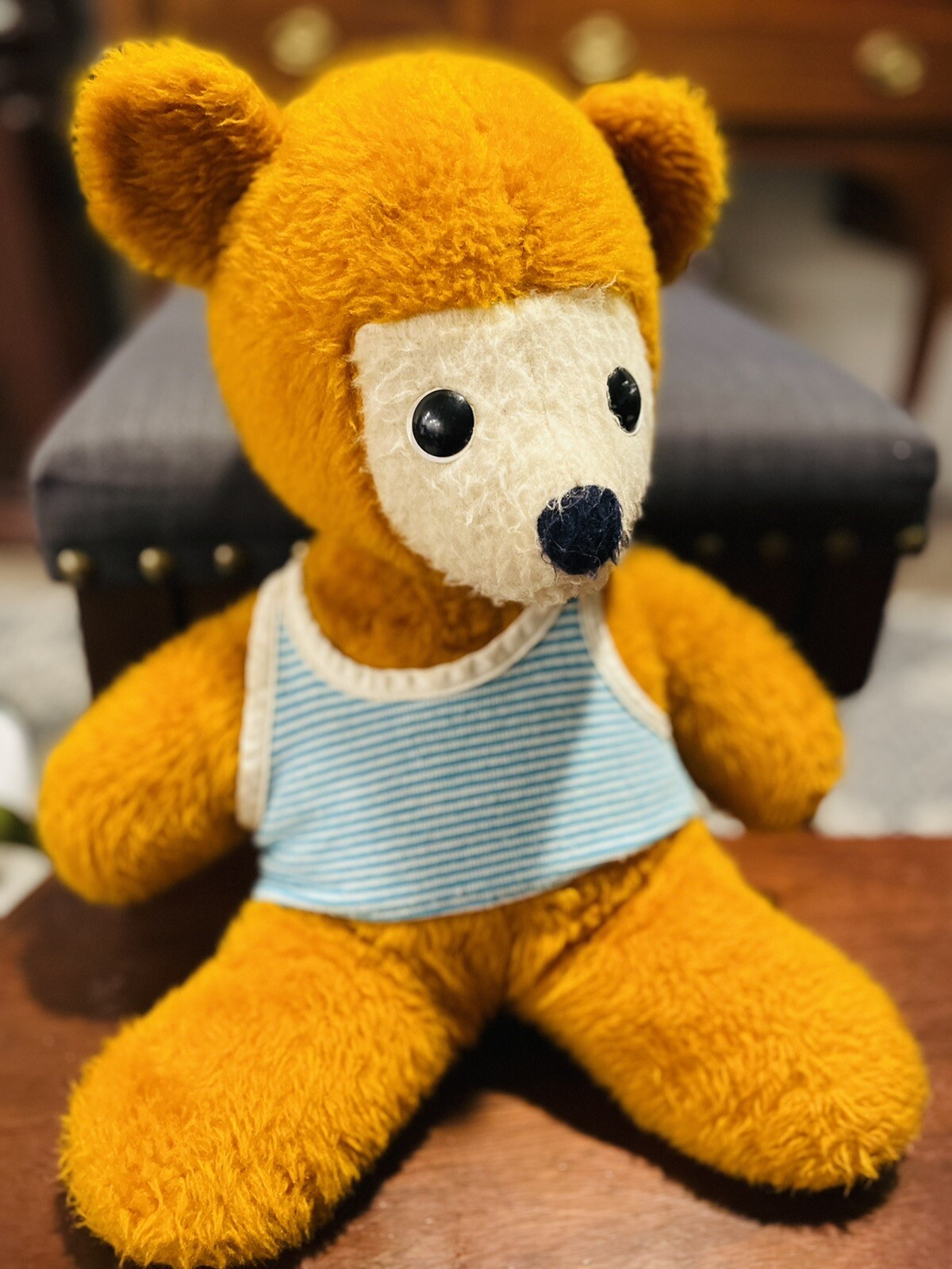 orange and blue teddy bear
