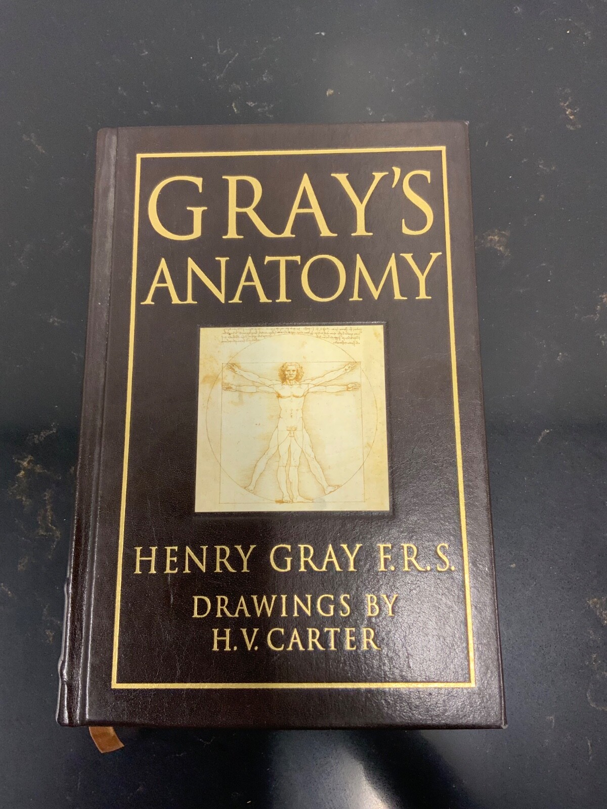Grays Anatomy Henry Gray F.R.S. 1995 15th Edition Hardcover Barnes Noble