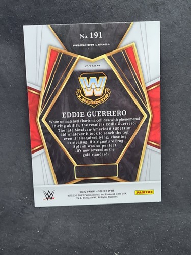 carte catch 2022 panini wwe select concourse prizm aux choix liste déroulante - Imagen 349 de 383