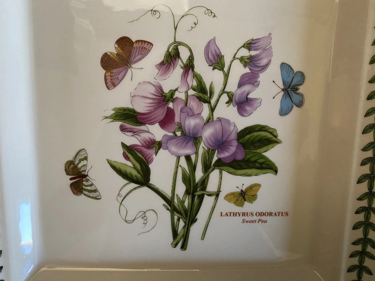 Portmeirion Botanic Garden 10.5” Square Plate Lathyrus Odoratus