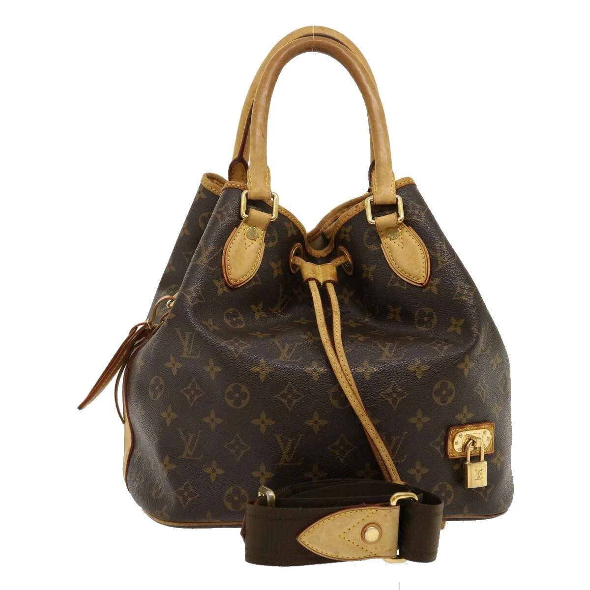 Louis Vuitton Monogram Neo Bag