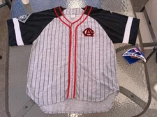 Vintage Apex One Negro Leagues Chicago Jersey NWT