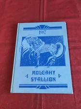 Vintage 1987 Mulcahy Stallion Tulare, California School Yearbook