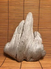 Beautiful 9" DRIFTWOOD Art Terrarium Taxidermy Aquarium Beach Reptile DECOR