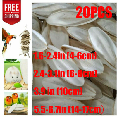 20 PCS Cuttlebone Cuttlefish Bone Sepia Cuttle Fish Pet Bird Food Calcium Set+