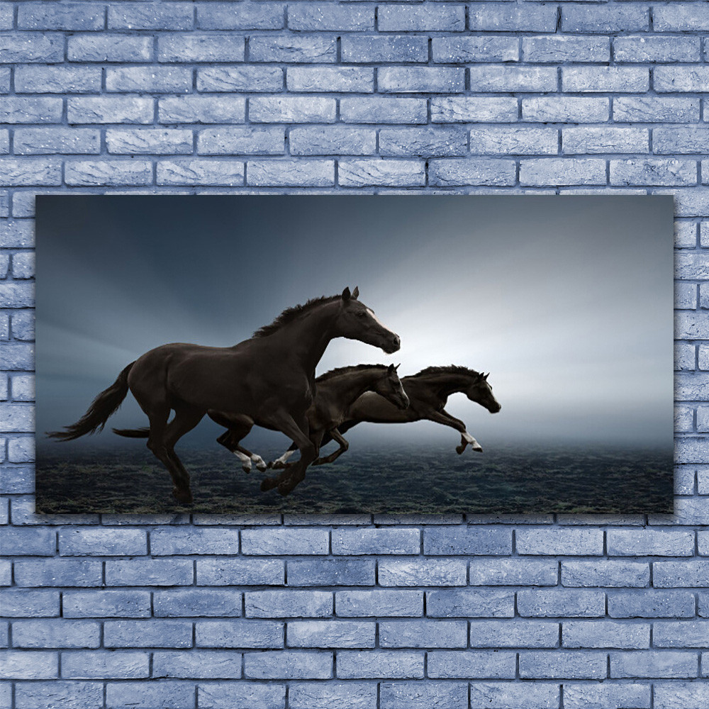 Tableau plexiglas chevaux 140x70 cm pour décoration moderne