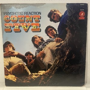 Count Five/Psychotic Reaction オリジナル モノラル Count Five – Psychotic Reaction – Vinyl (LP, Compilation, Mono