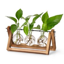 Propagation Station for Hydroponics  Desk Plant Terrarium with Wooden Stand