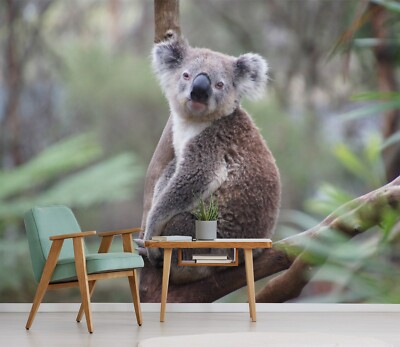 3D Koala Branch O459 Animal Wallpaper Wall Murals Removable Wallpaper Eve 2023