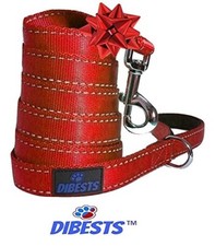 Premium Quality Dog Leash Durable Reflective, Padded Handle - 6 ft Long RED