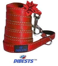 Premium Quality Dog Leash Durable Reflective, Padded Handle - 6 ft Long RED