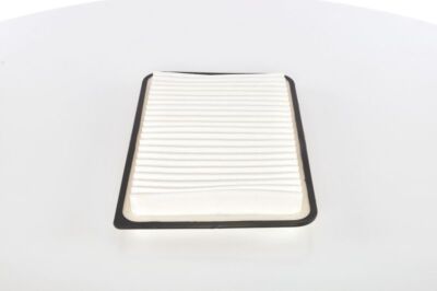 Bosch 1 987 301 425 Kfz-Glühlampe für RENAULT