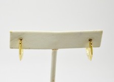 Stunning 14K Yellow Gold Small Hoop Earrings- GOLD 3396