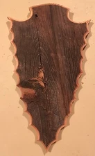 European Deer Skull Mount Plaque Rustic Barnwood  w/ Hanger Arrowhead