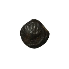 Calabria Tarentum Silver Litra Ancient Greek Coin 490-480 BC 