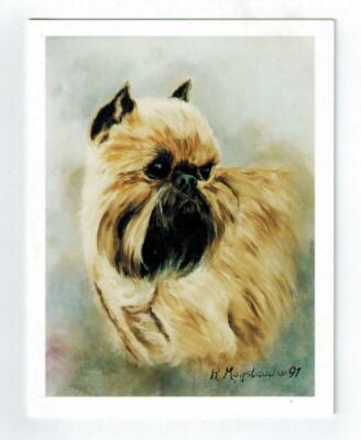 Brussels Griffon Pet Dog Head Study Notecards 12 Blank Note Cards Ruth Maystead