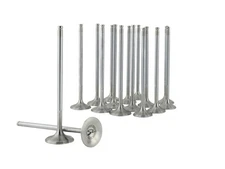 Skunk2 Racing 310-05-1600 Alpha Series Valve Set for Honda/Acura D Series