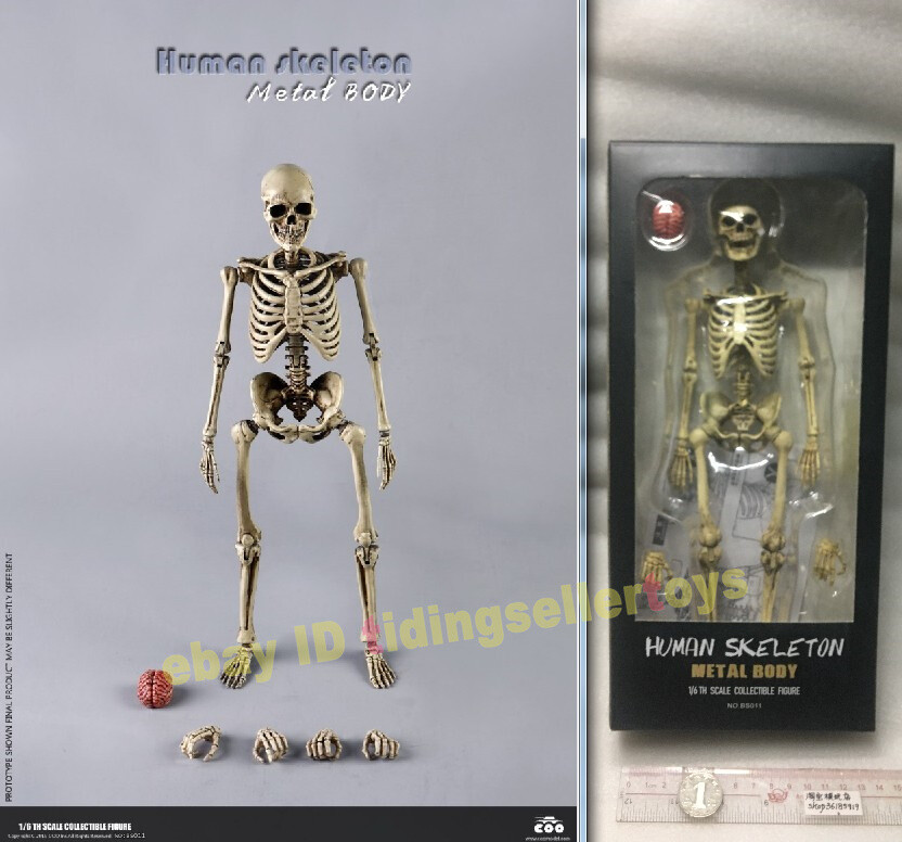 COOMODEL THE HUMAN SKELETON DIECAST ALLOY 1/6 Action Figure Alloy