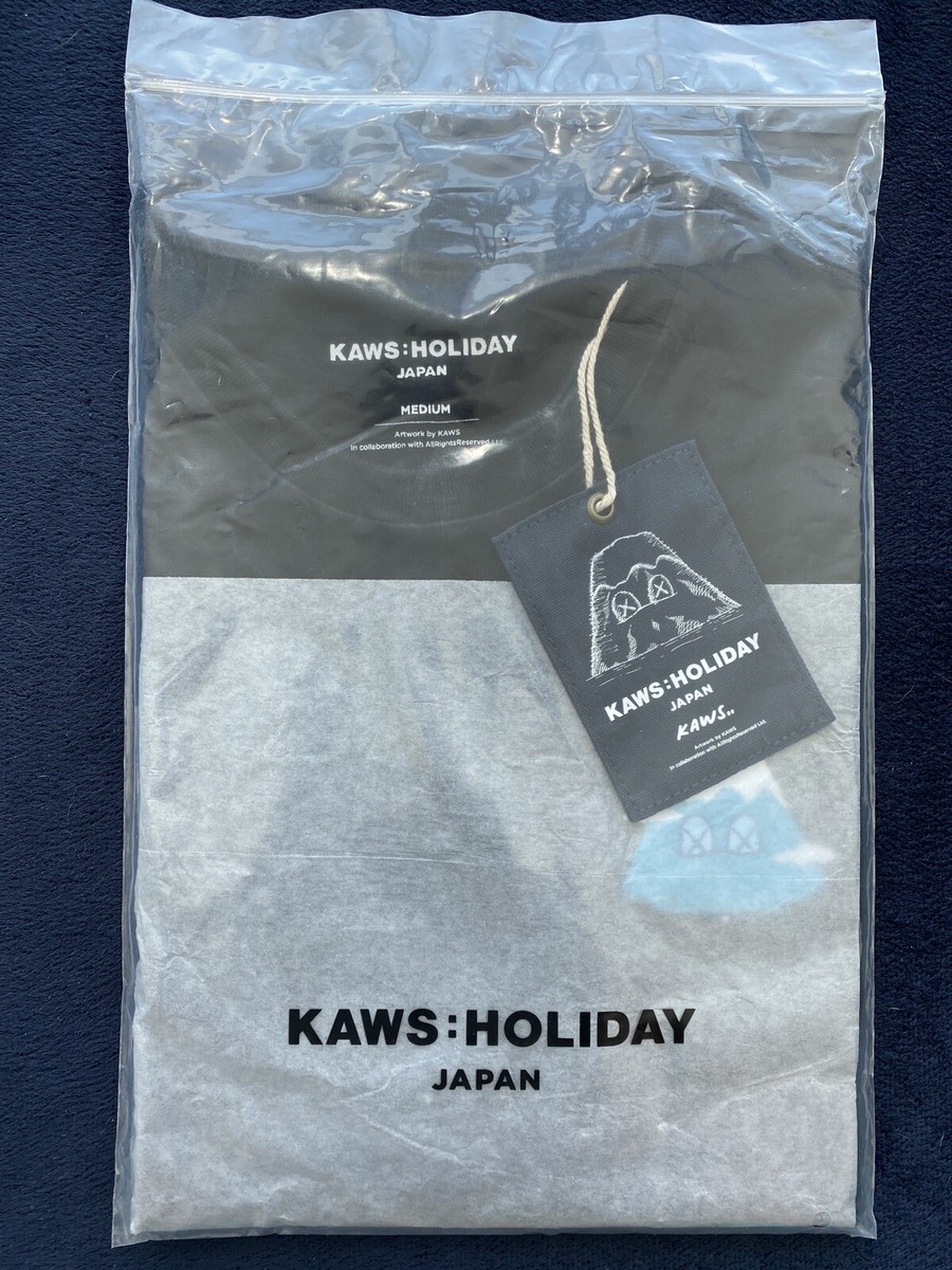 【未開封】KAWS : HOLIDAY JAPAN ふもとっぱらTシャツ　バック 未開封】KAWS : HOLIDAY JAPAN ふもとっぱらTシャツ バック