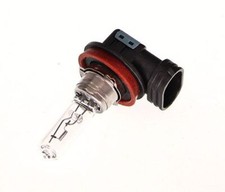 MAXGEAR 78-0012 Glühlampe, Hauptscheinwerfer für CITROËN INFINITI