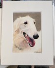 Borzoi Saluki dog artist print 5 x 7 matted ready to frame - for 8 x 10