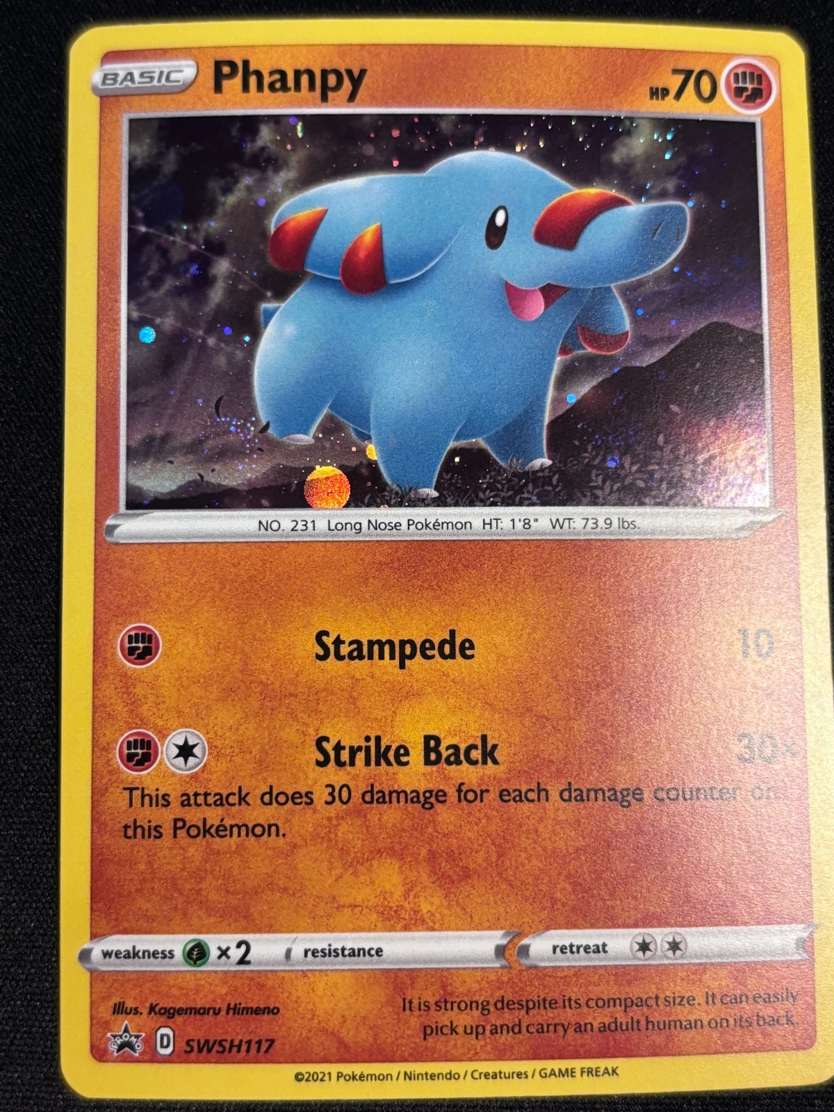 Phanpy SWSH117 Pokemon Sword & Shield Black Star Promo Holo 2021 NM-Mint