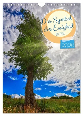 Clemens Stenner | Das Symbol der Ewigkeit (Wandkalender 2026 DIN A4 hoch),...