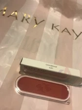 Mary Kay Powder Perfect Cheek Color Blush Gingersnap Brand New In Box .2oz 5g