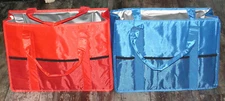 Set of 2 NEW Cooler Bag Totes in Royal Blue and Red