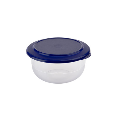 Tupperware Tafelperle Salatschüssel 450 ml Blau Schüssel Servierschüssel + Bonus
