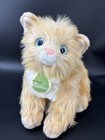 Aurora Nature Babies Striped Cat Orange Tiger Baby Blue Eyes Stuffed Toy  10” Lo