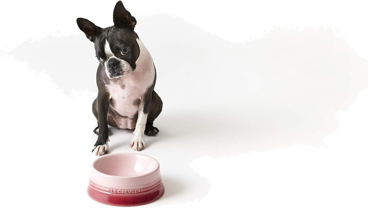 Le Creuset PET Bowl Pet Bowl (S) Natural Pink Dog Cat Fubility