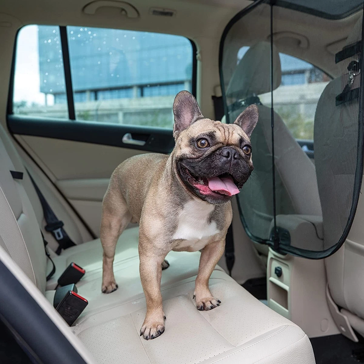 Best dog barrier sale