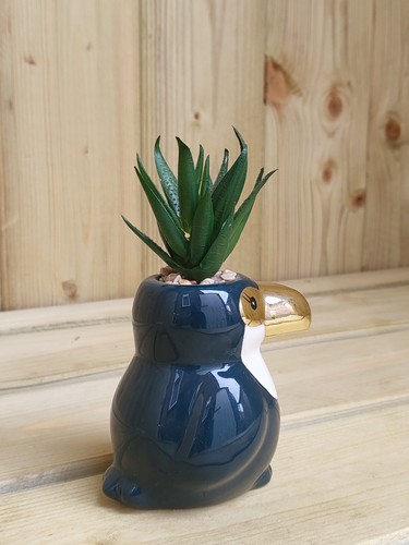 13cm Toucan Mini Aloe Vera Fake Succulent Planter Teacher Thank You Gift Bird - Picture 8 of 10