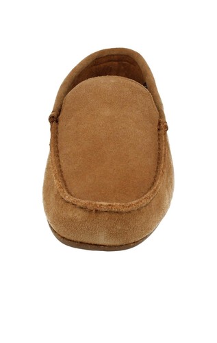 clarks kite kindling