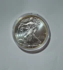 2015 $1 American Eagle 1 oz Silver Dollar Coin Walking Liberty listing #u77