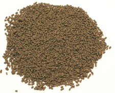 250 G Guggenbühl Premium Fodera Allevatore STICKS TOP Fodera Pesci Discus Malawi