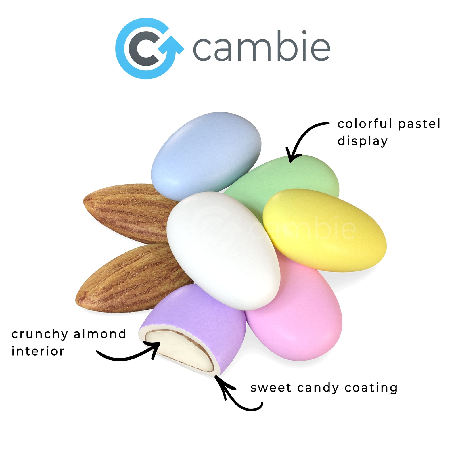 Jordan Almonds Pastel Candy Almonds in Assorted Colors Premium