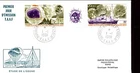 CLIMATOLOGY OZONE RESEARCH METEOROLOGY 1991 FSAT FDC