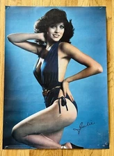 JULIE BELMONTE  RARE 1979 VINTAGE POSTER BLUE SWIMSUIT 14-675 Pro Arts Sexy Lady