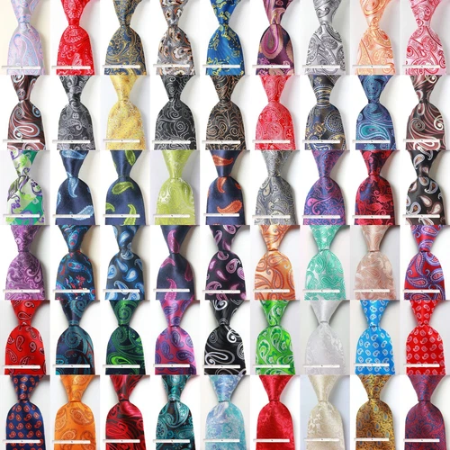 New Classic Tie Paisley JACQUARD WOVEN 100% Silk Men's Necktie Tie - product listing photo