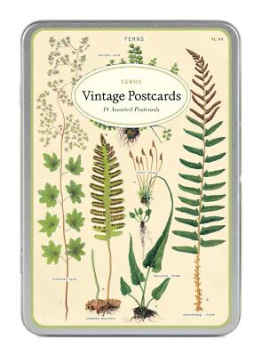 Cavallini - Carte Postale - Farne - Dose mit 18 Postkarten - 9 Designs / 2 pro Design