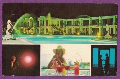 TIERRA VERDE FL VTG CHROME PC PORT-O-CALL INN RESORT MULTI-VIEW SEA HORSES 1968