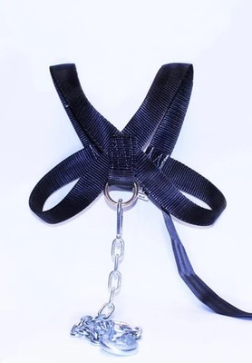 spud front squat harness