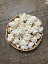 OYL  LUV Sola Wood Flowers 48 ct 1 1/2" wood Tulips Premium DIY Floral Supply