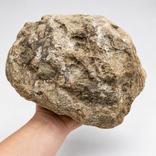 Large Kentucky Geode 11.20 lb Unopened Natural Crystal Geode Exact 9” Specimen
