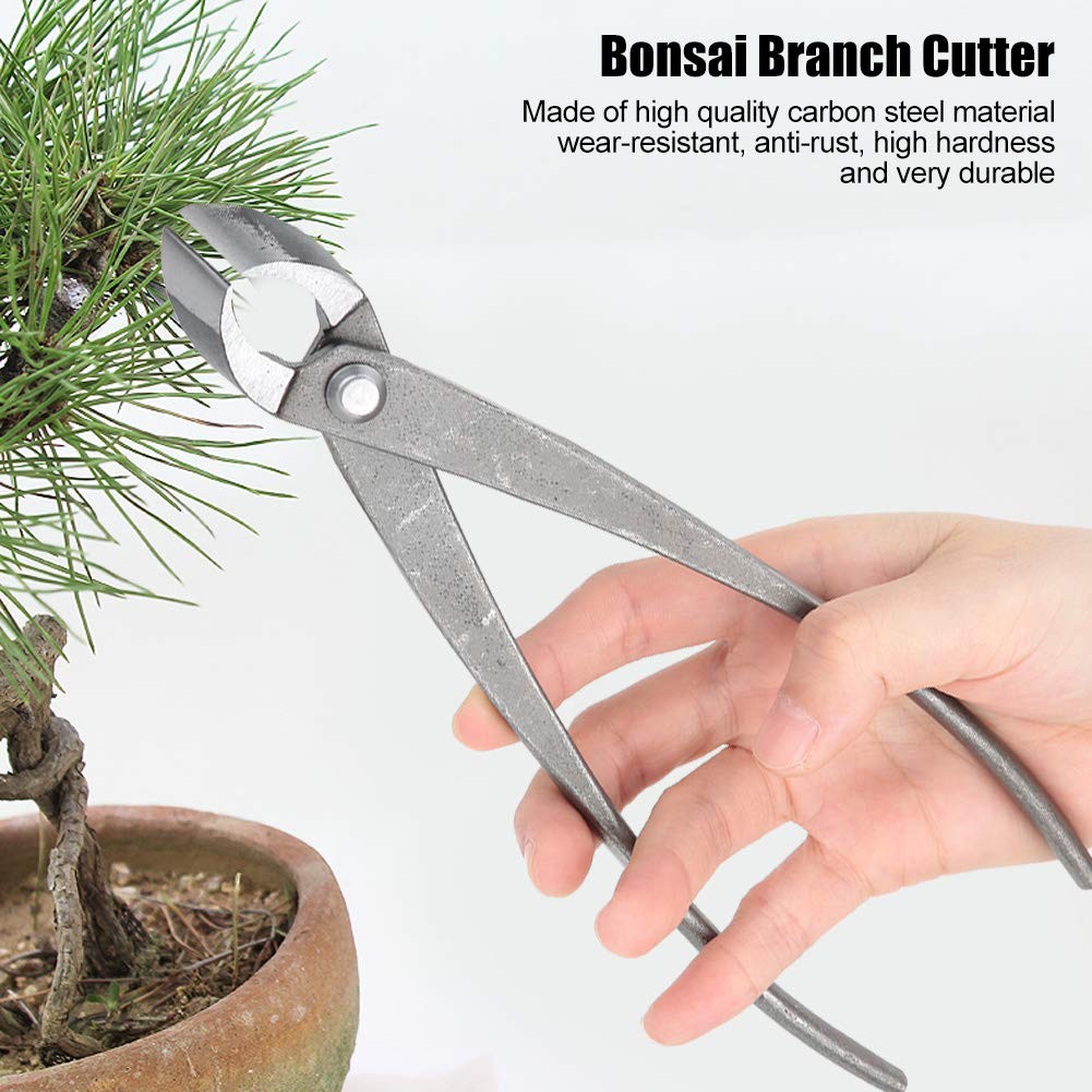 Ciseaux de bonsaï de coupe concave de 8 pour éviter les cicatrices - 2