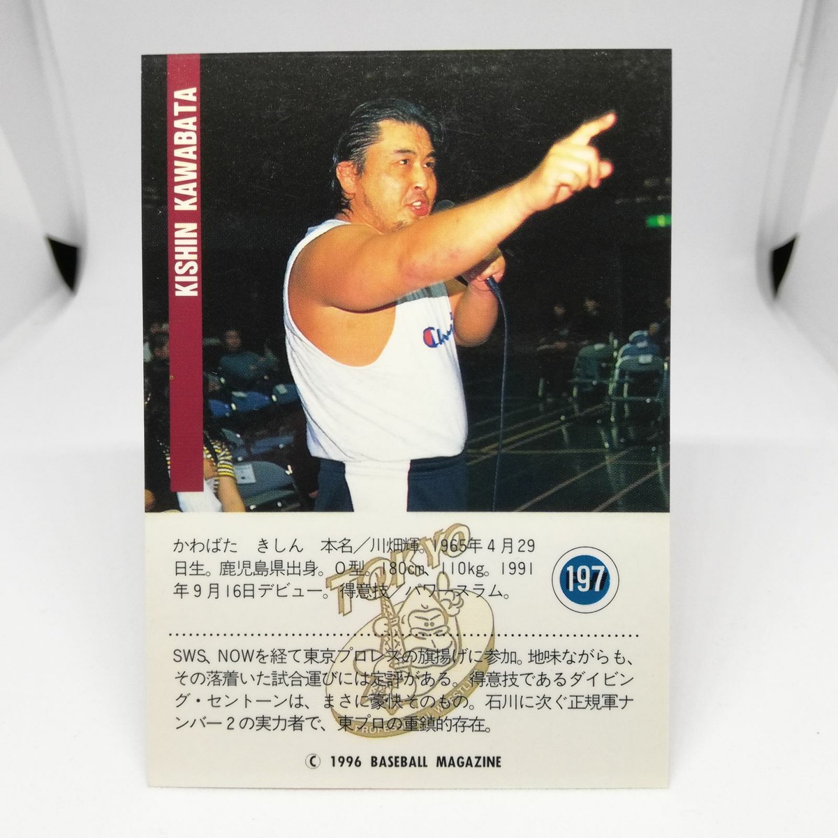 197 KISHIN KAWABATA TOKYO JAPAN PRO WREITLING CARD BBM96