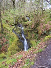 Photo 6x4 Little waterfalls Kames/NR9771 Cascading stream next to the fo c2009