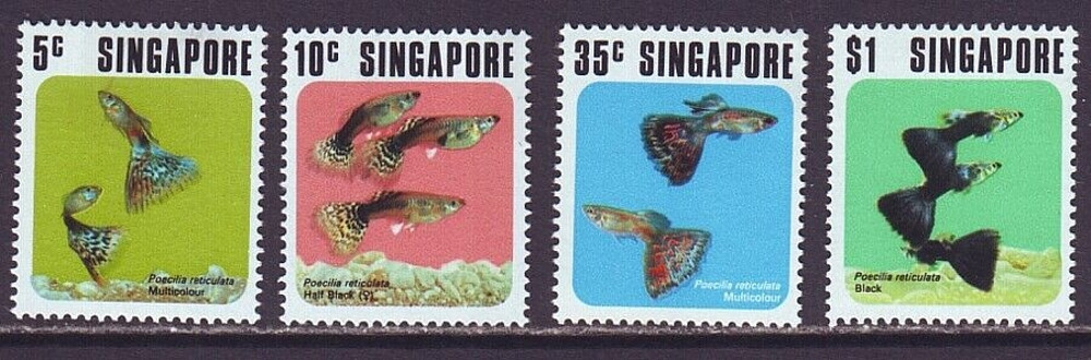 Singapore 1974 SC 206-209 MNH Set Guppy Fish | eBay